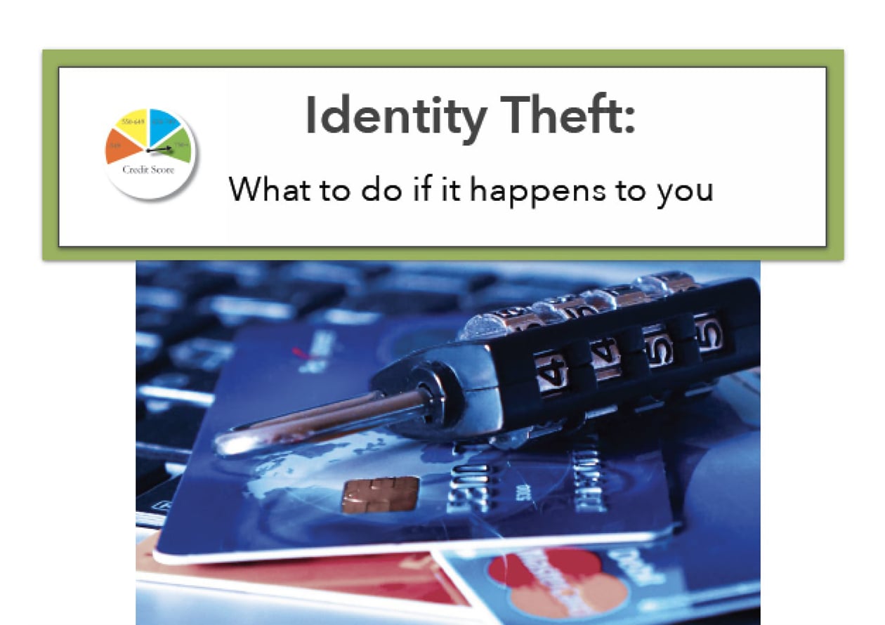 Identity Theft Download Cover Image